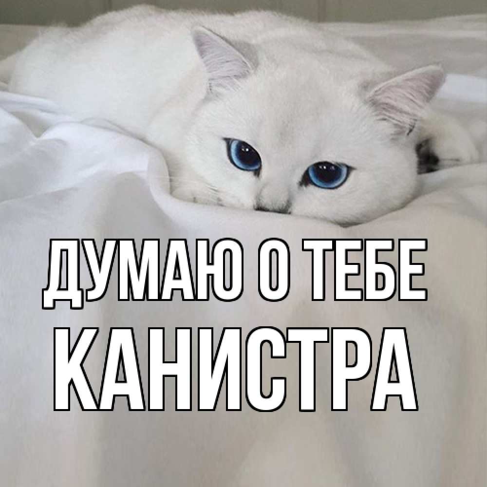 Открытка на каждый день с именем, Канистра Думаю о тебе я очень по тебе скучаю и тоскую Прикольная открытка с пожеланием онлайн скачать бесплатно 