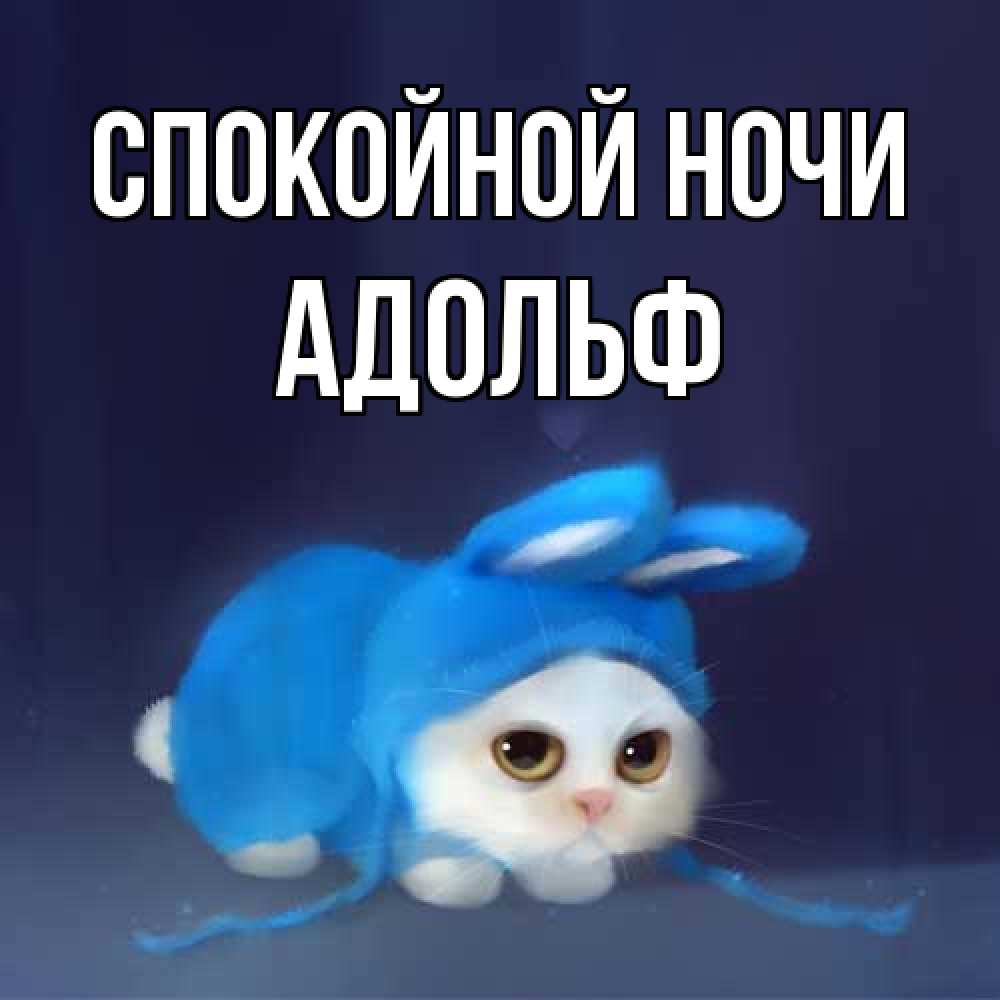 Открытка на каждый день с именем, Адольф Спокойной ночи кот в голубом костюме кролика с ушками Прикольная открытка с пожеланием онлайн скачать бесплатно 