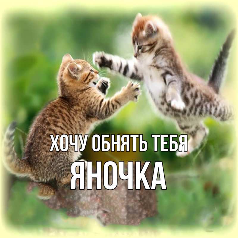 Картинка Хочу обнять тебя, Яночка