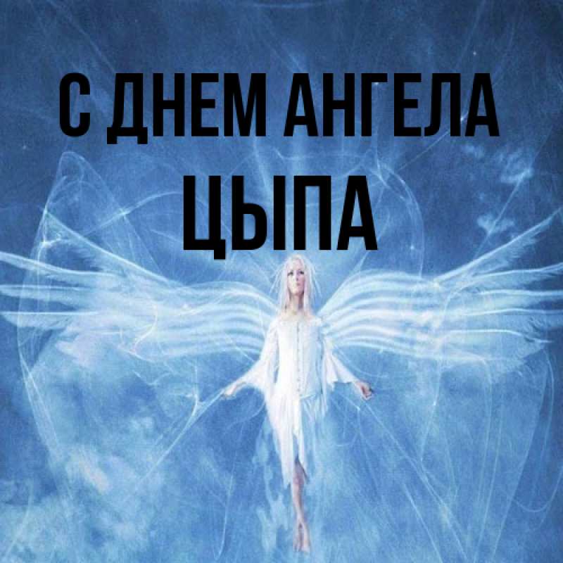 Картинка С днем ангела, Цыпа
