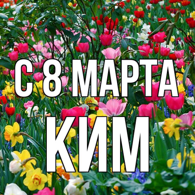 Картинка C 8 МАРТА, Ким