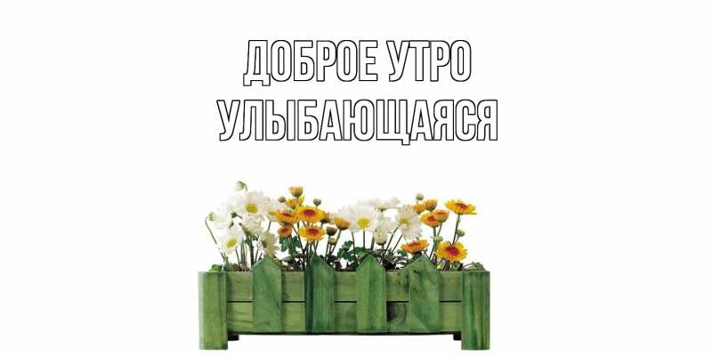 Картинка Доброе утро, Улыбающаяся