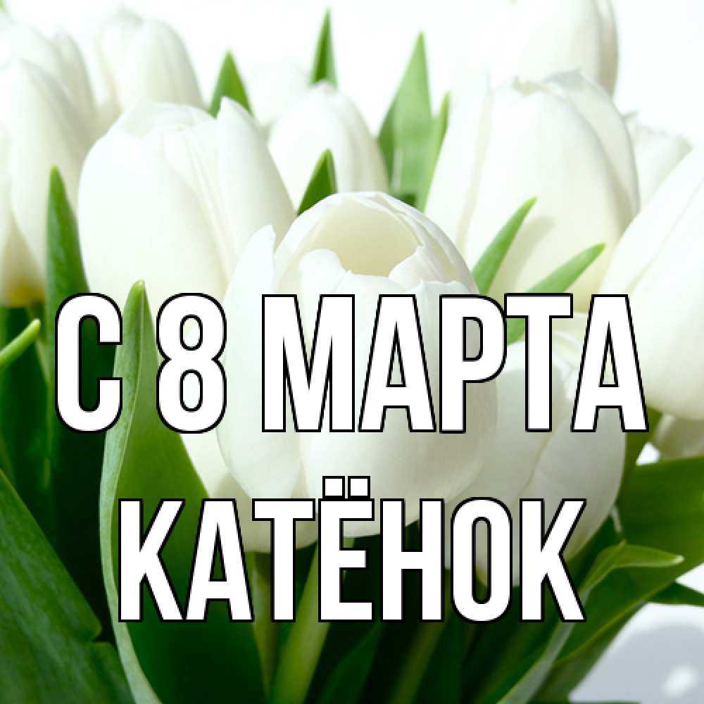 Открытка на каждый день с именем, Катёнок C 8 МАРТА цветы Прикольная открытка с пожеланием онлайн скачать бесплатно 