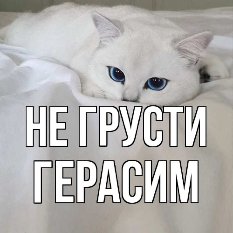 Картинка Не грусти, Герасим