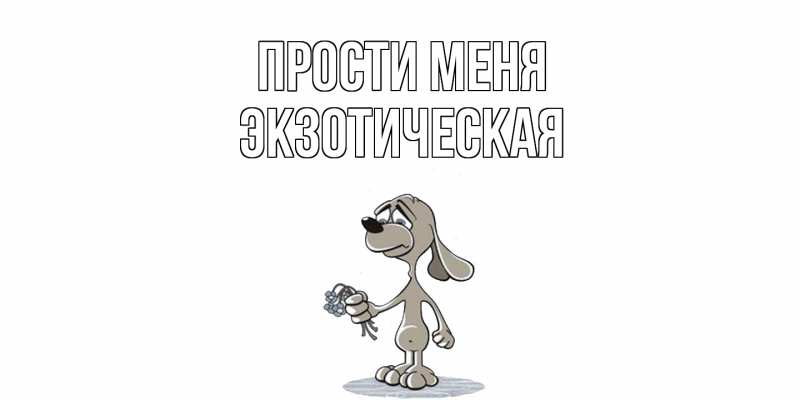 Картинка Прости меня, Экзотическая