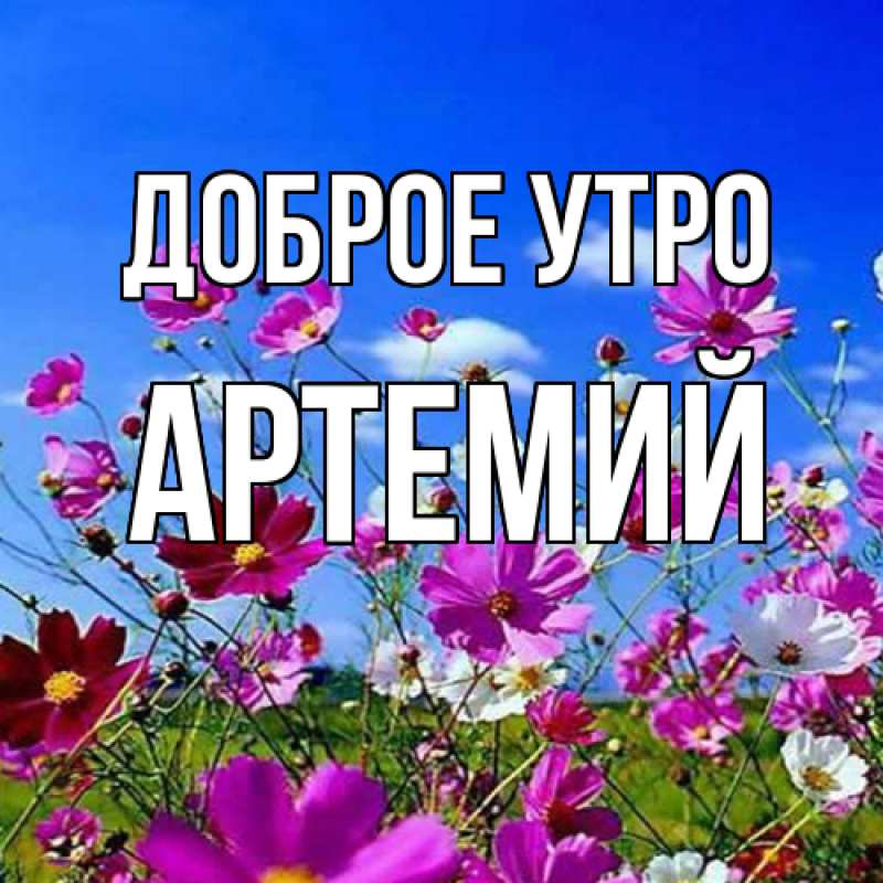 Картинка Доброе утро, Артемий