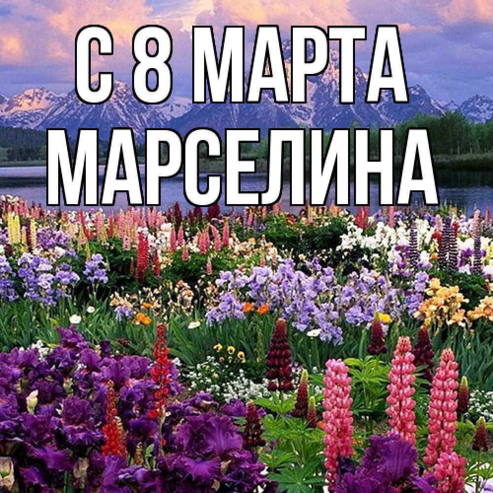 Открытка на каждый день с именем, Марселина C 8 МАРТА международный женский день Прикольная открытка с пожеланием онлайн скачать бесплатно 