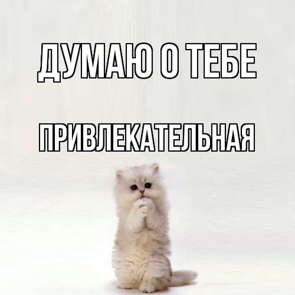 Открытка на каждый день с именем, привлекательная Думаю о тебе кот стоит на задних лапах Прикольная открытка с пожеланием онлайн скачать бесплатно 