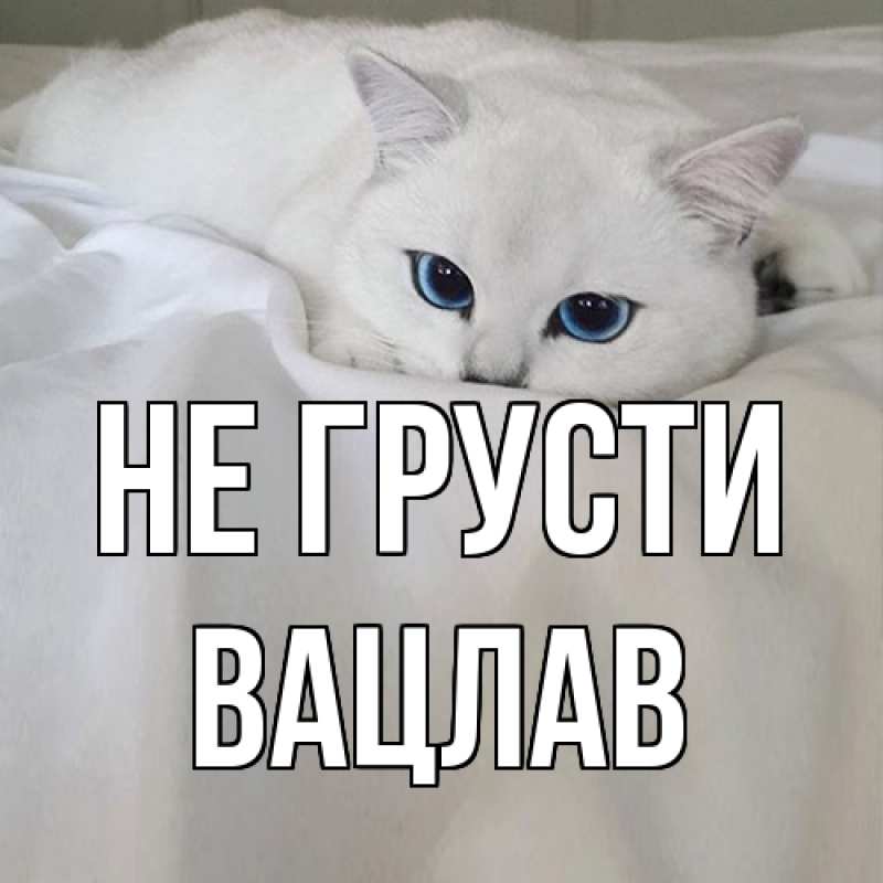 Картинка Не грусти, Вацлав