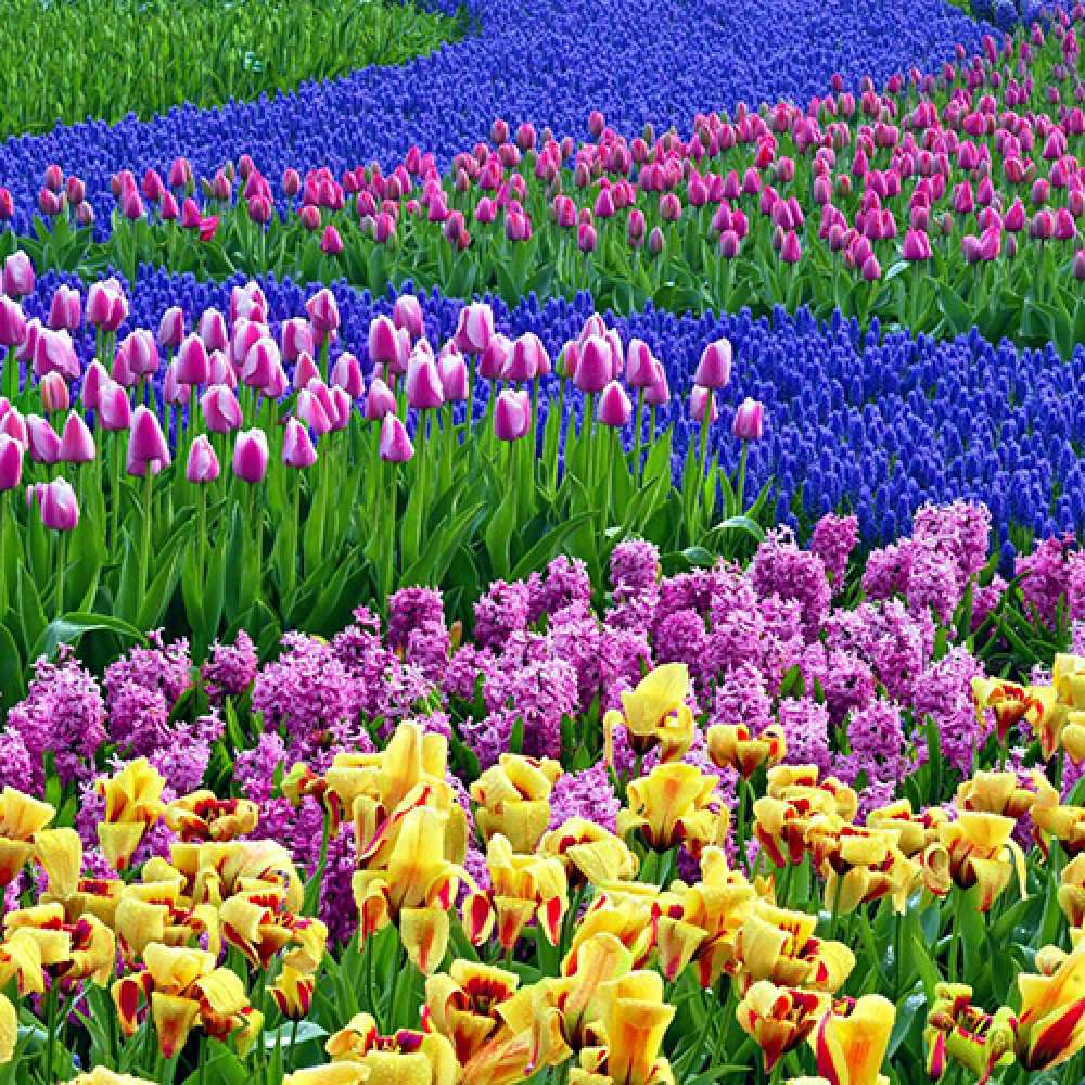 Открытка на каждый день с именем, Леонард C 8 МАРТА цветы Прикольная открытка с пожеланием онлайн скачать бесплатно 