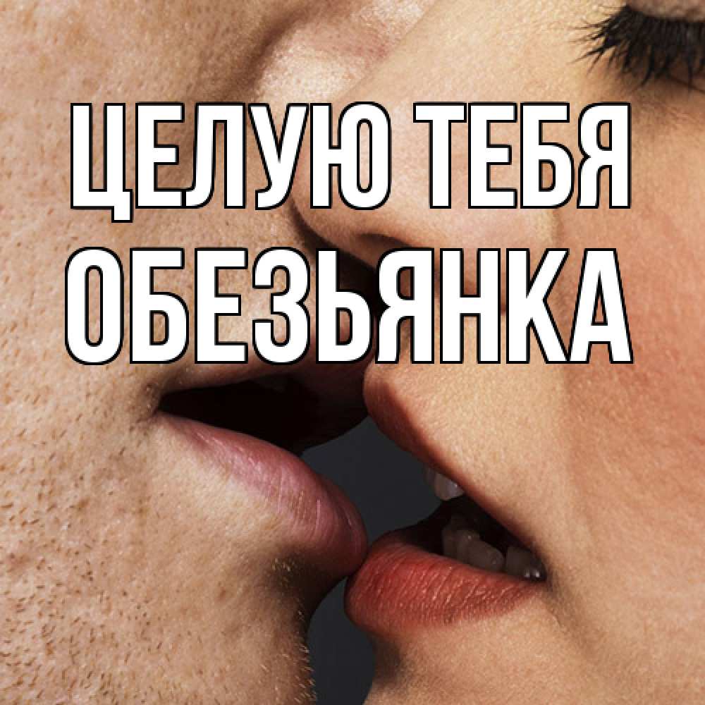 Открытка на каждый день с именем, Обезьянка Целую тебя поцелуй с подписью Прикольная открытка с пожеланием онлайн скачать бесплатно 