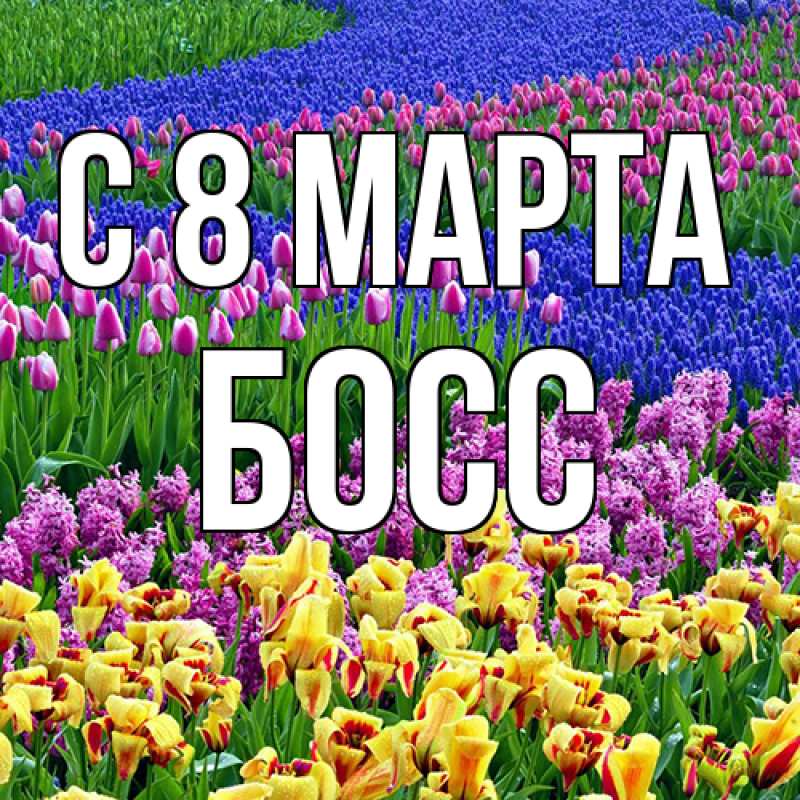 Картинка C 8 МАРТА, Босс