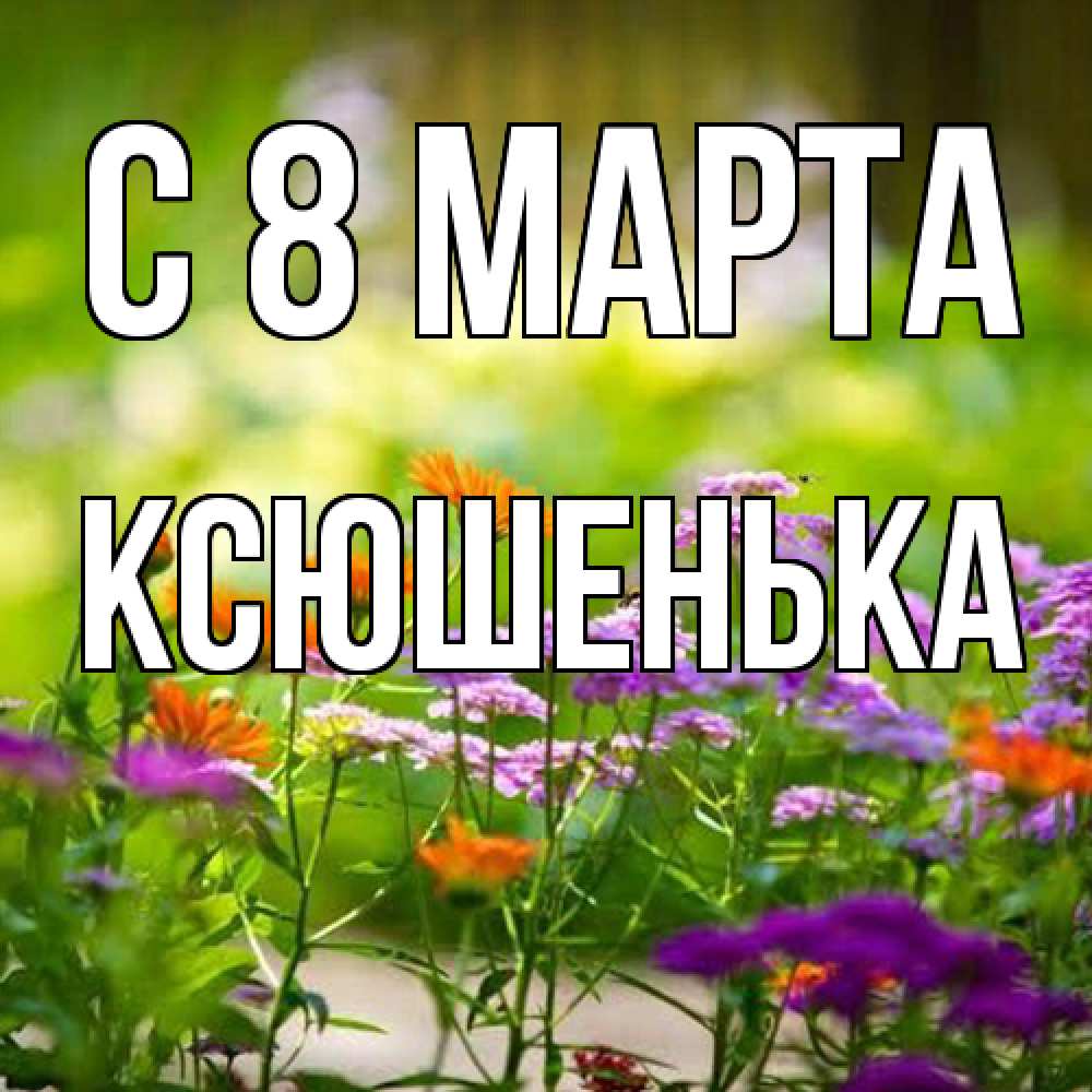 Открытка на каждый день с именем, Ксюшенька C 8 МАРТА цветы Прикольная открытка с пожеланием онлайн скачать бесплатно 