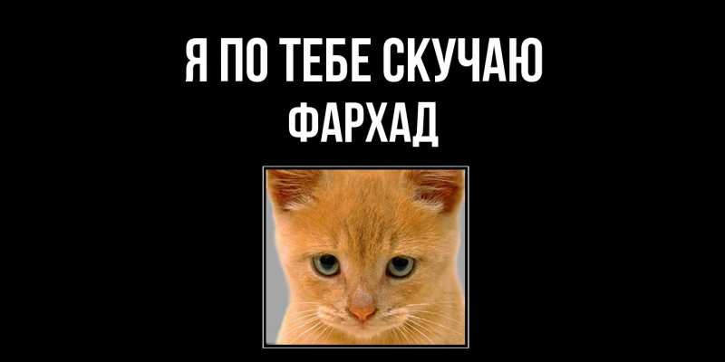 Картинка Я по тебе скучаю, Фархад