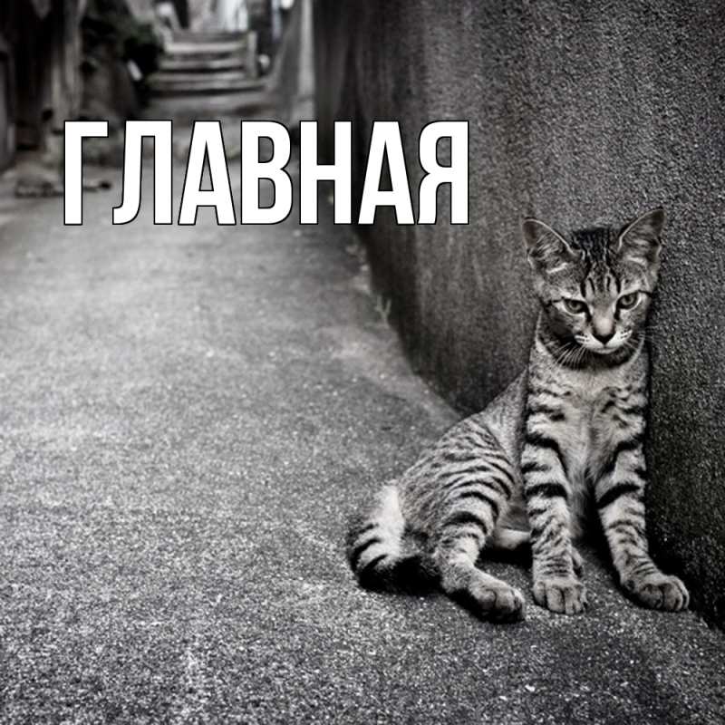 Картинка  с именем , настя