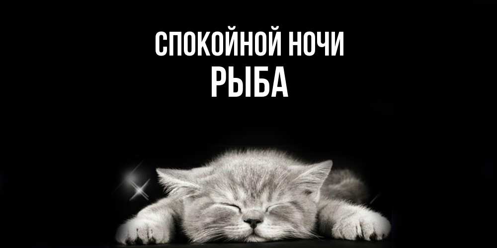 Открытка на каждый день с именем, Рыба Спокойной ночи спящий котик Прикольная открытка с пожеланием онлайн скачать бесплатно 