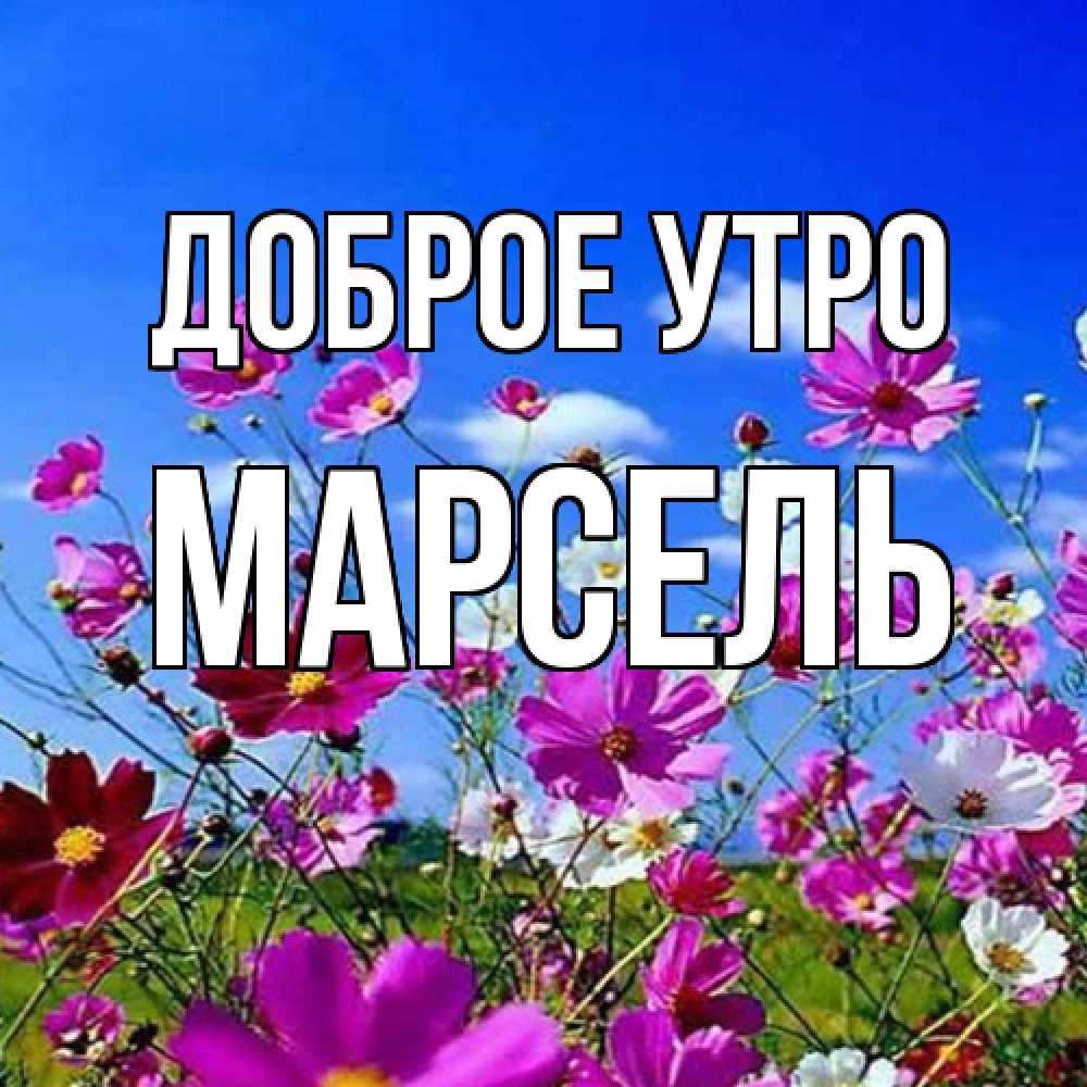Открытка на каждый день с именем, Марсель Доброе утро сиреневые цветы Прикольная открытка с пожеланием онлайн скачать бесплатно 