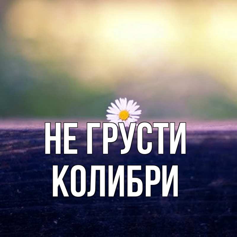 Картинка Не грусти, Колибри