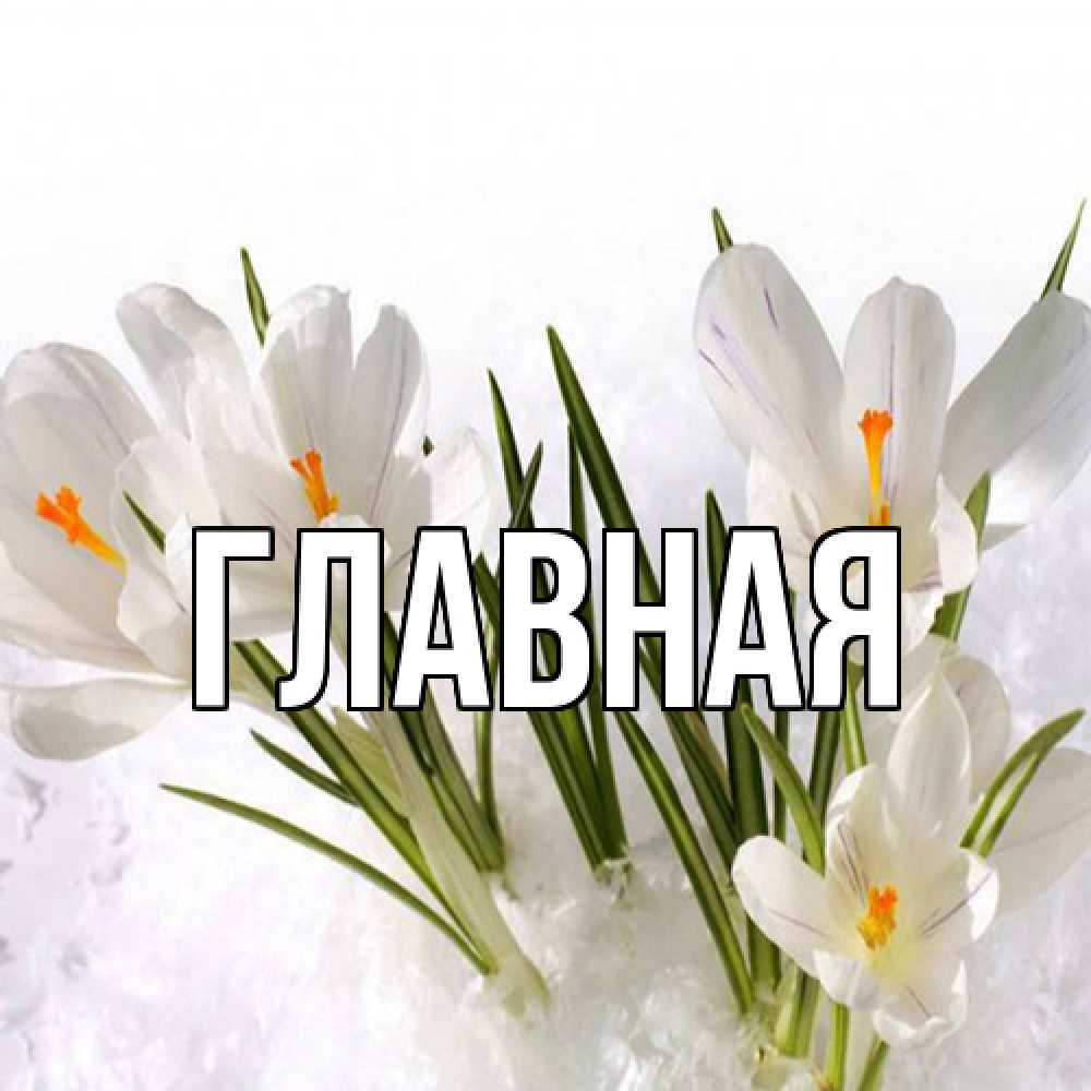 Открытка на каждый день с именем, Анна Главная под снегом Прикольная открытка с пожеланием онлайн скачать бесплатно 