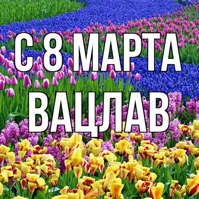 Картинка C 8 МАРТА, Вацлав