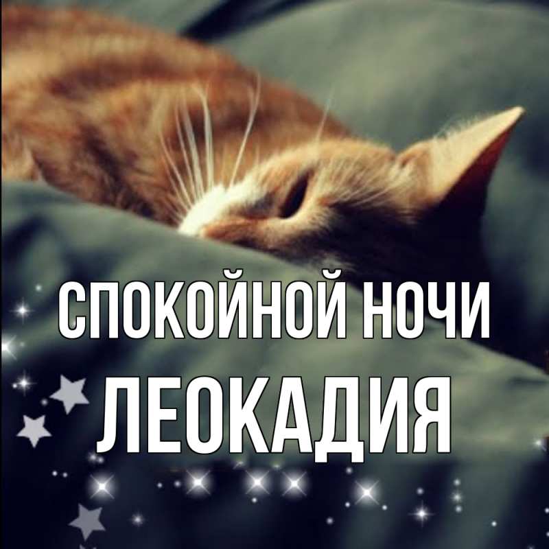 Картинка Спокойной ночи, Леокадия