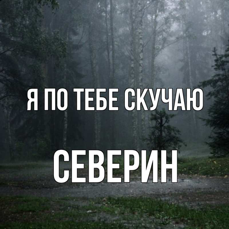 Картинка Я по тебе скучаю, Северин