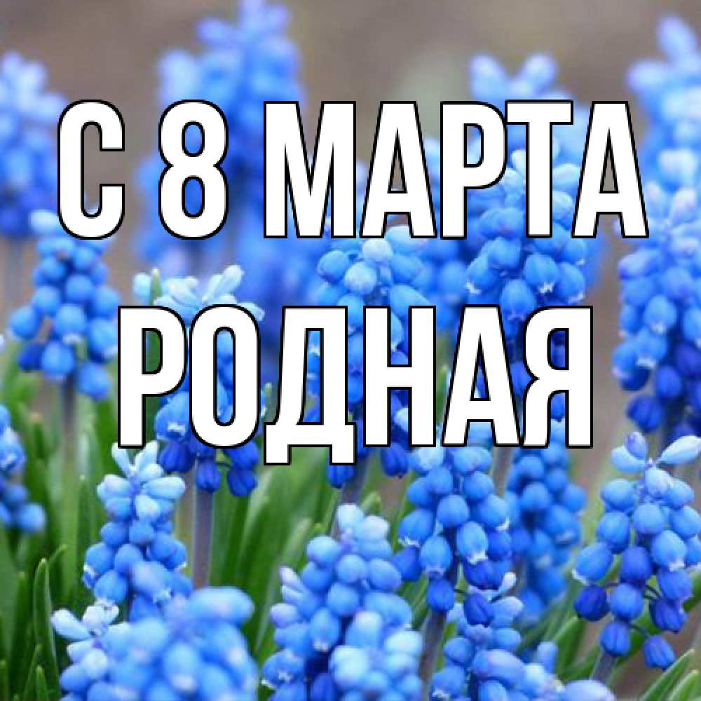 Открытка на каждый день с именем, Родная C 8 МАРТА Поздравительная открытка для женщин с цветами на праздничную дату Прикольная открытка с пожеланием онлайн скачать бесплатно 