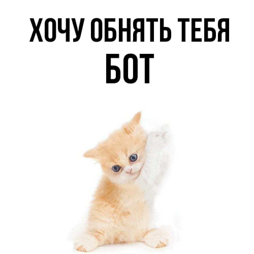 Открытка на каждый день с именем, Бот Хочу обнять тебя я хочу очень скорее обнимаешек Прикольная открытка с пожеланием онлайн скачать бесплатно 