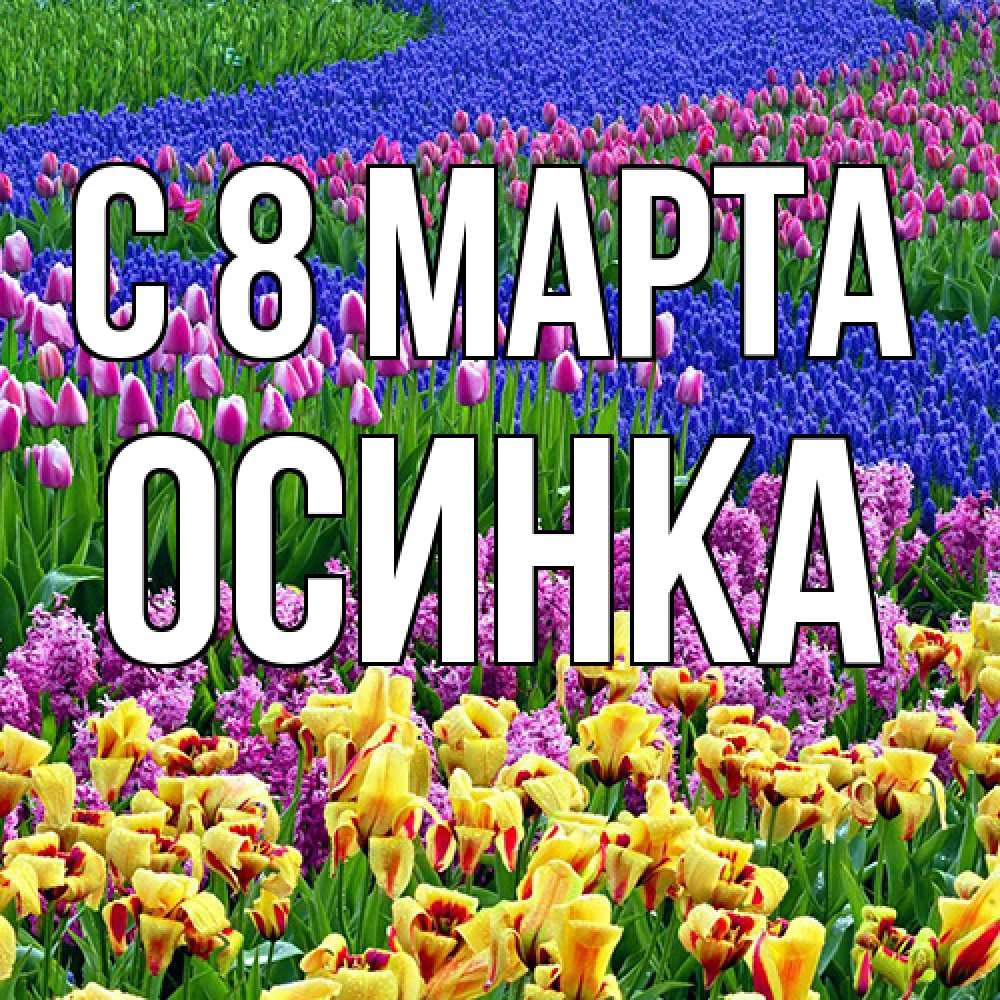 Открытка на каждый день с именем, осинка C 8 МАРТА цветы Прикольная открытка с пожеланием онлайн скачать бесплатно 