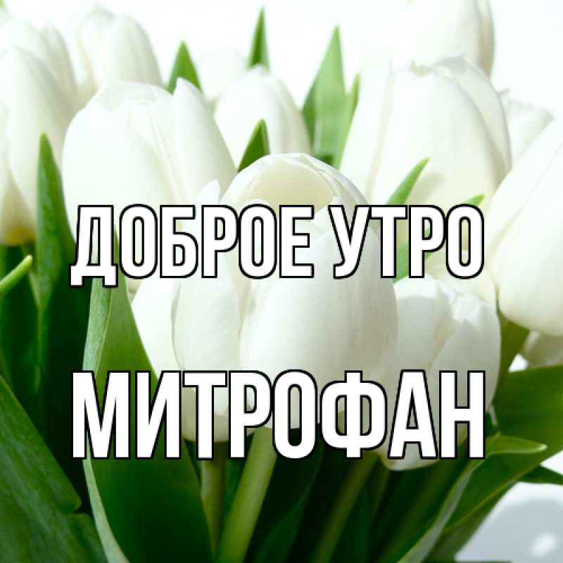 Картинка Доброе утро, Митрофан