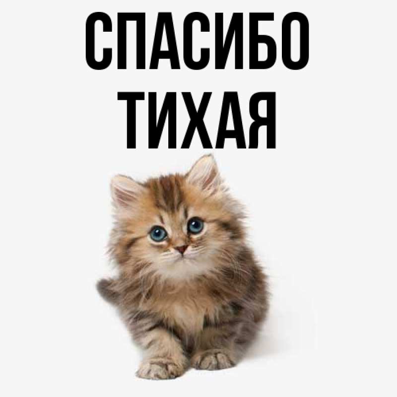 Картинка Спасибо, Тихая