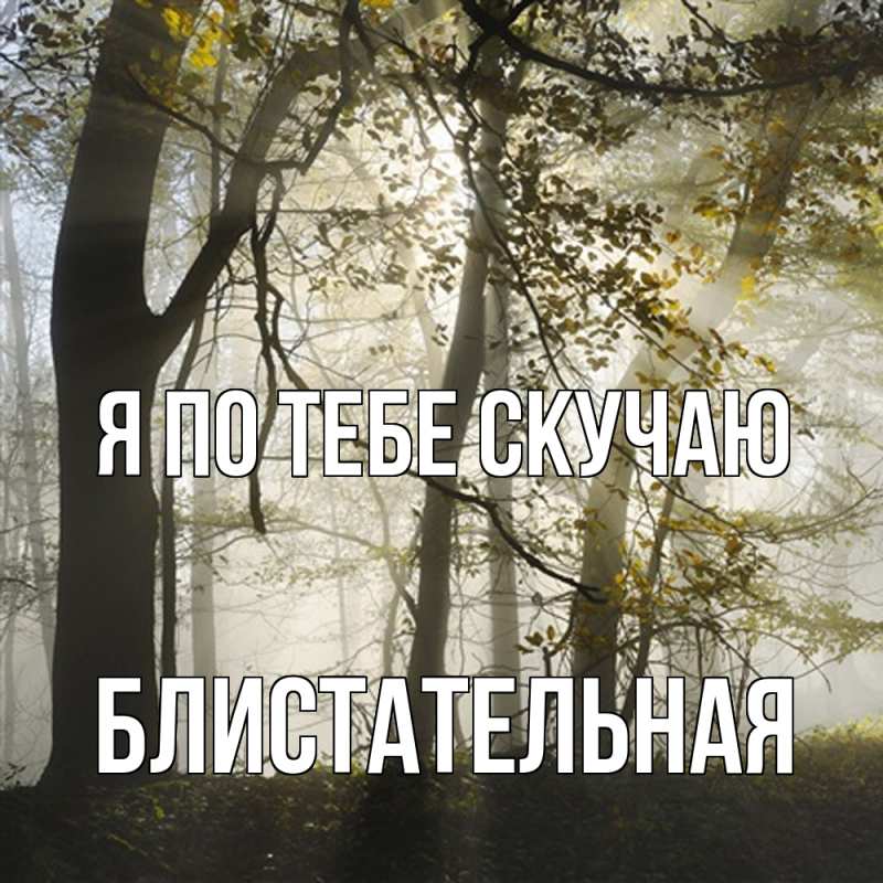 Картинка Я по тебе скучаю, блистательная
