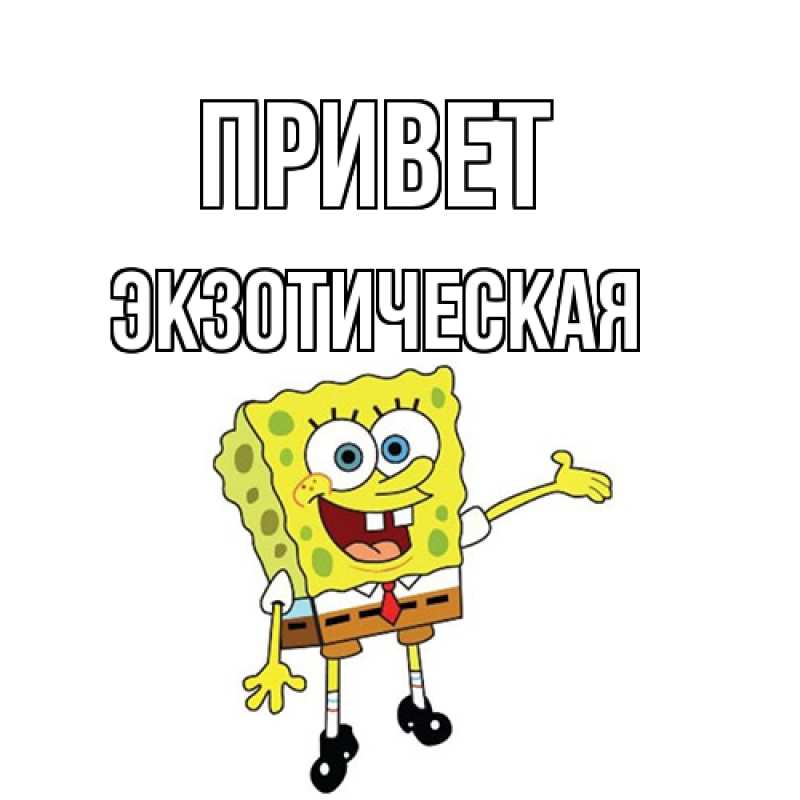 Картинка Привет, Экзотическая