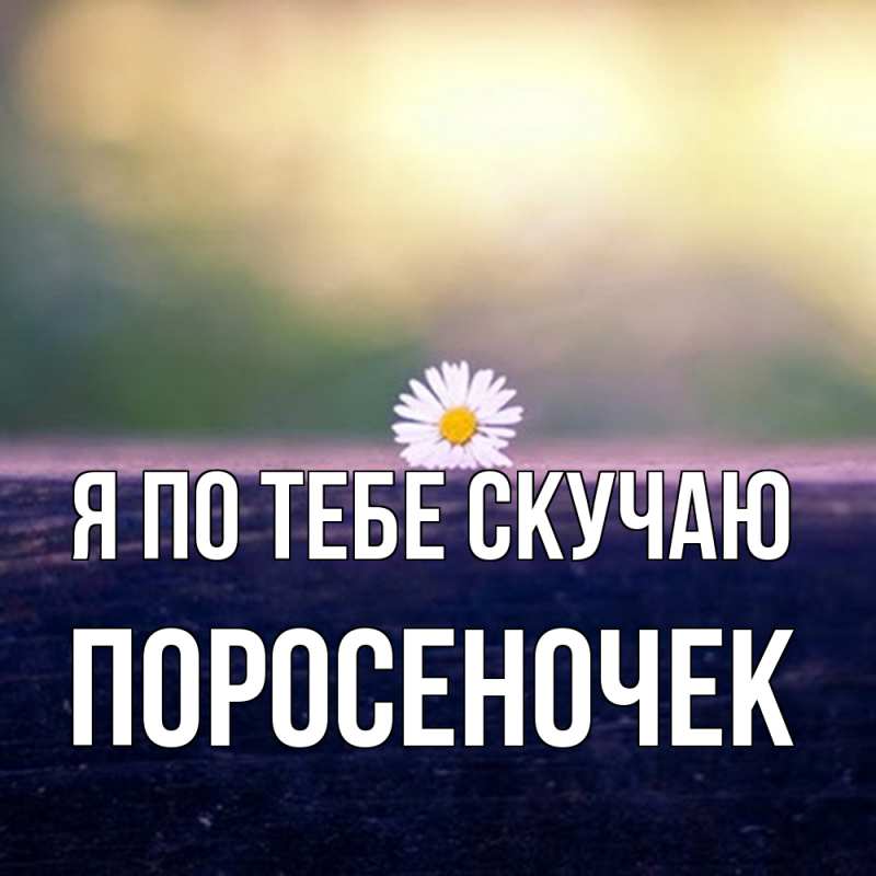 Картинка Я по тебе скучаю, поросеночек