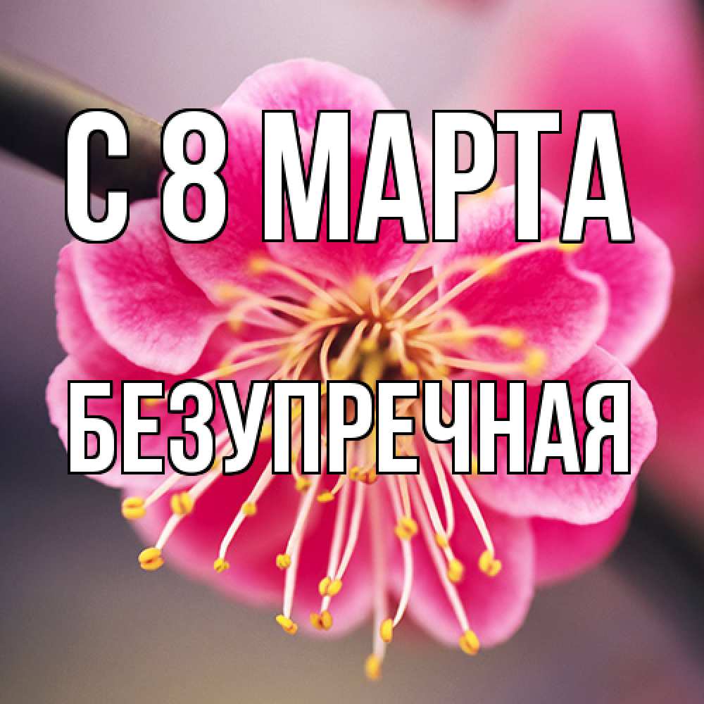 Открытка на каждый день с именем, Безупречная C 8 МАРТА цветы Прикольная открытка с пожеланием онлайн скачать бесплатно 