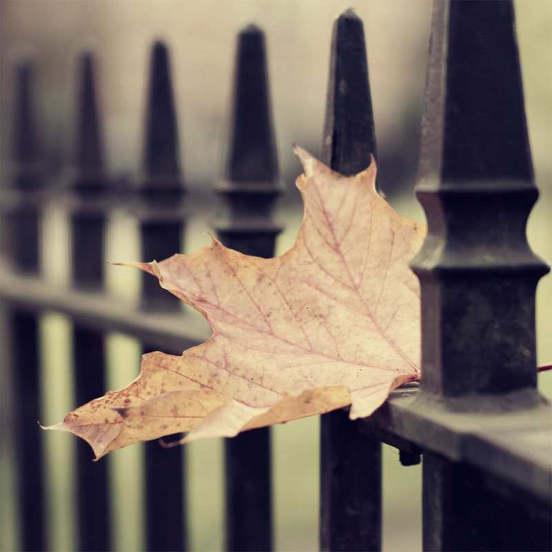 Картинка Я по тебе скучаю, Голубоглазка