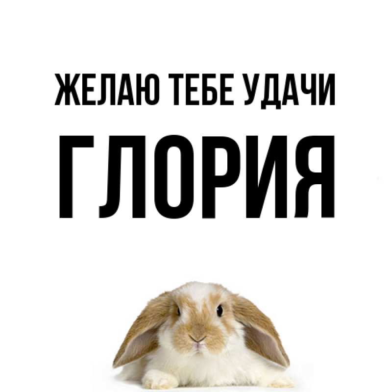 Картинка Желаю тебе удачи, Глория