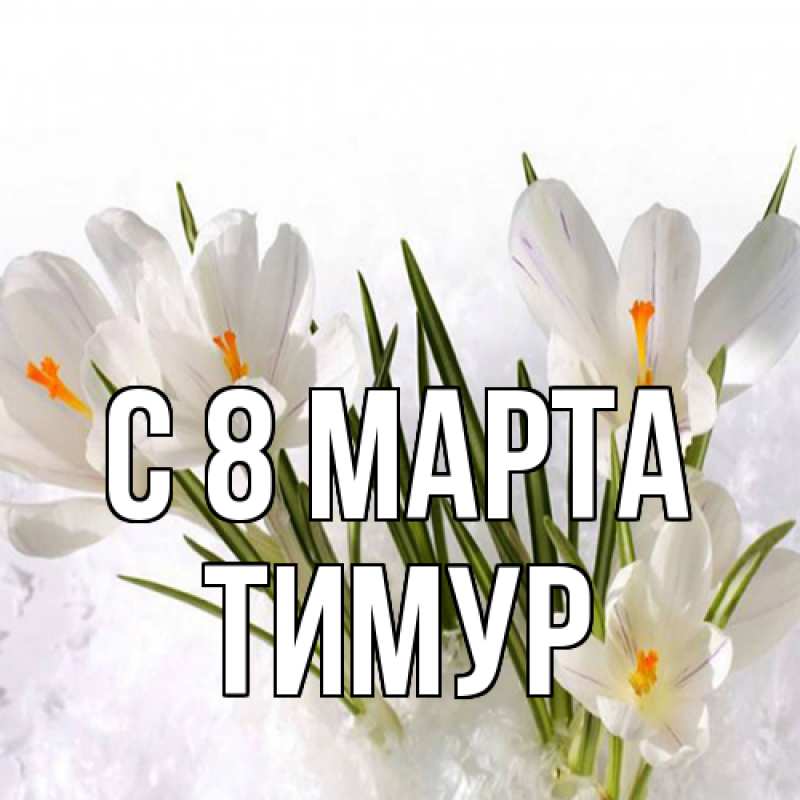 Картинка C 8 МАРТА, Тимур