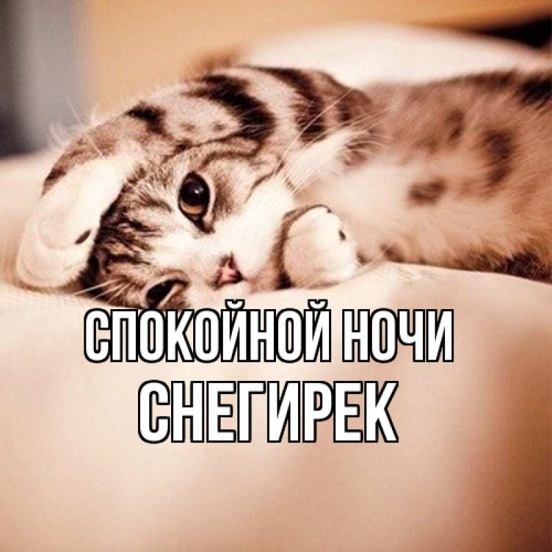 Картинка Спокойной ночи, снегирек