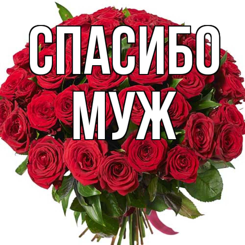 Открытка на каждый день с именем, Муж Спасибо букет красных роз Прикольная открытка с пожеланием онлайн скачать бесплатно 