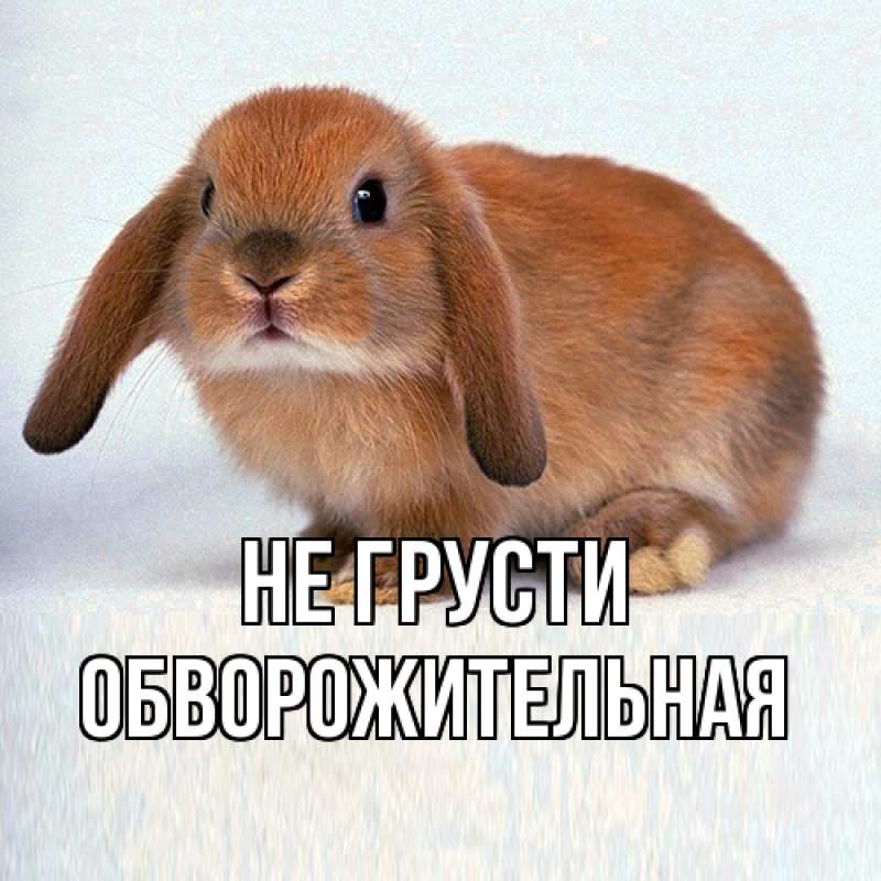 Картинка Не грусти, обворожительная