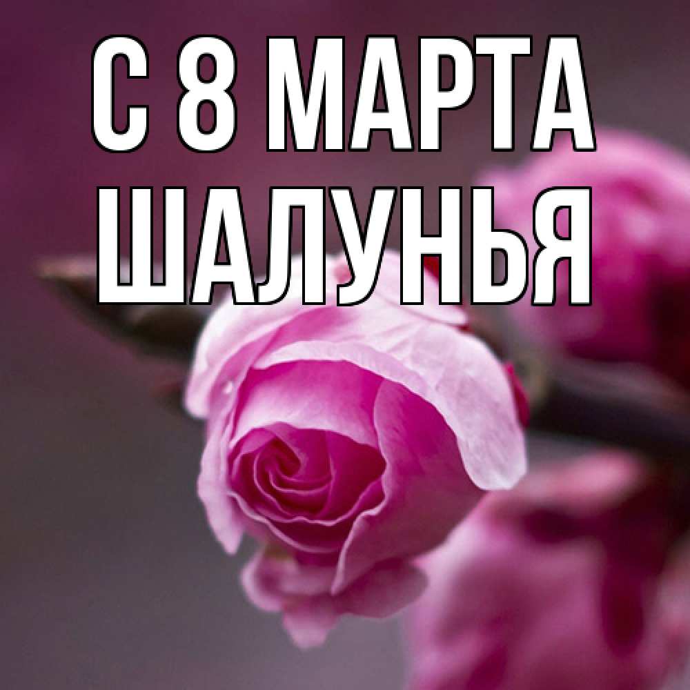 Открытка на каждый день с именем, Шалунья C 8 МАРТА весна Прикольная открытка с пожеланием онлайн скачать бесплатно 