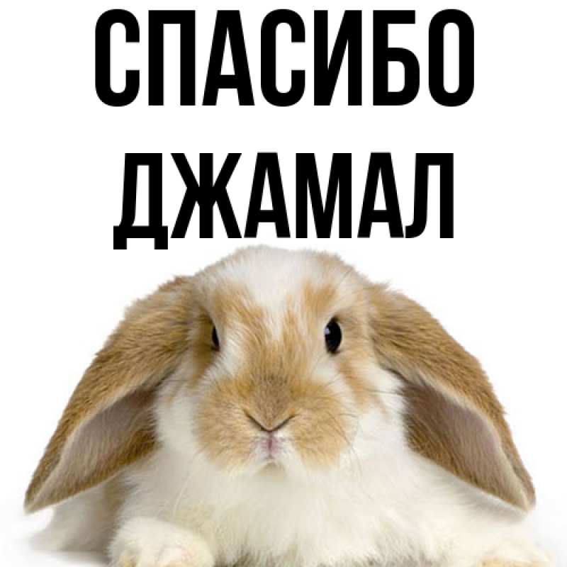 Картинка Спасибо, Джамал