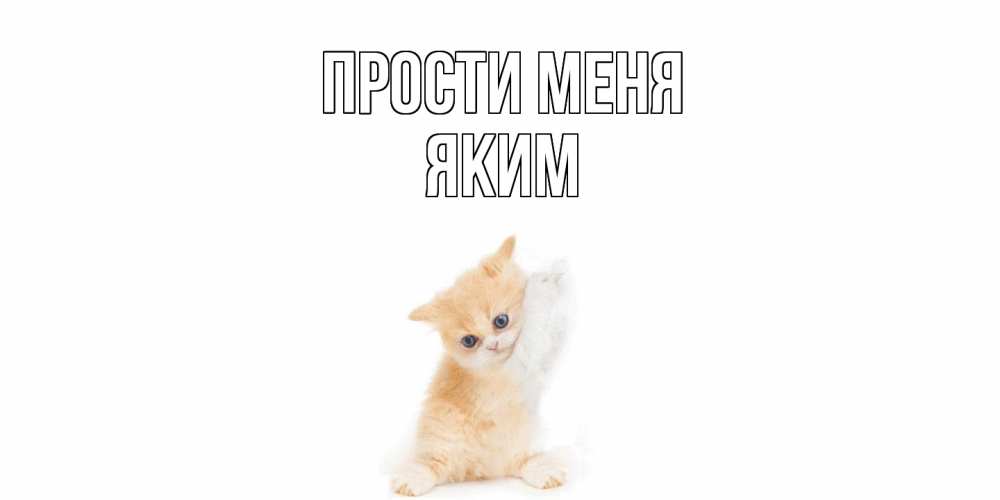 Открытка на каждый день с именем, Яким Прости меня кот Прикольная открытка с пожеланием онлайн скачать бесплатно 