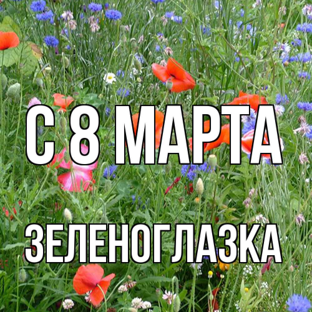Открытка на каждый день с именем, зеленоглазка C 8 МАРТА международный женский день 4 Прикольная открытка с пожеланием онлайн скачать бесплатно 