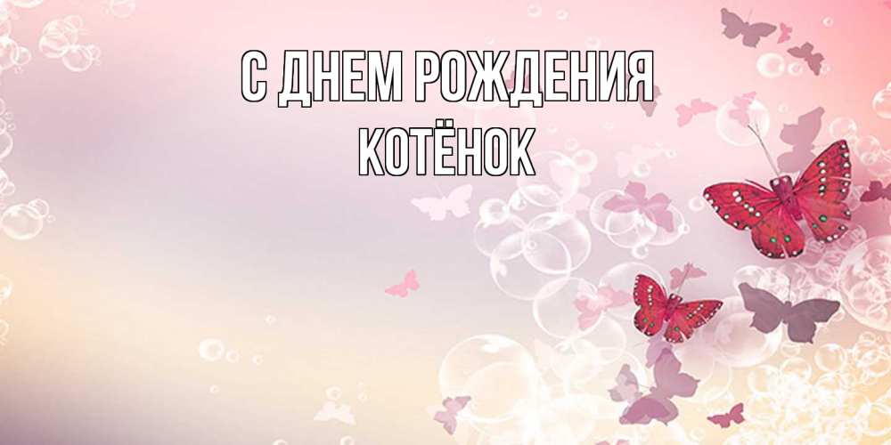 Открытка на каждый день с именем, Котёнок С днем рождения красная бабочка Прикольная открытка с пожеланием онлайн скачать бесплатно 