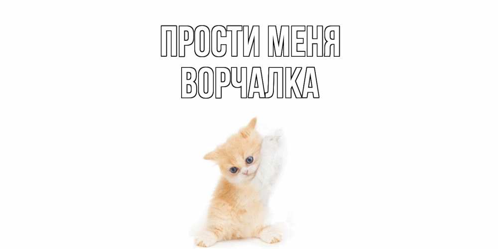 Открытка на каждый день с именем, Ворчалка Прости меня кот Прикольная открытка с пожеланием онлайн скачать бесплатно 