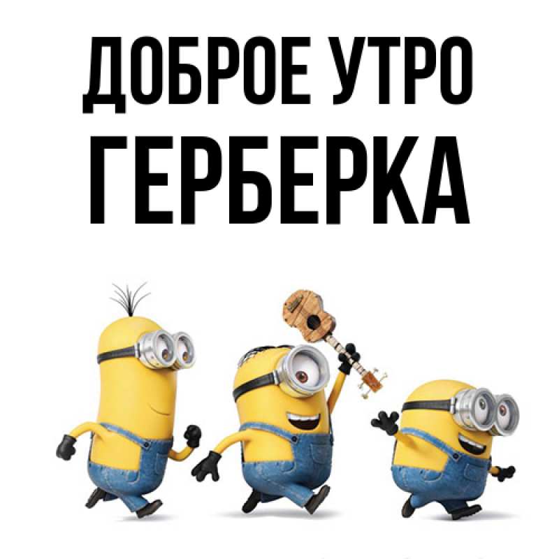 Картинка Доброе утро, Герберка