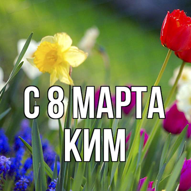 Картинка C 8 МАРТА, Ким