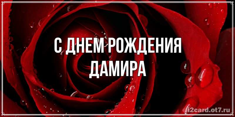 Картинка С днем рождения, Дамира